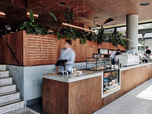 A lofty cafe filled with greenery.