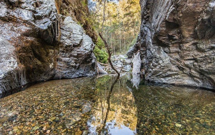 a calm creek bed between rocks