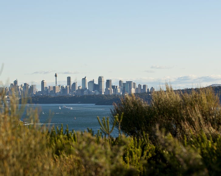north head park manly sydney picnic spot view