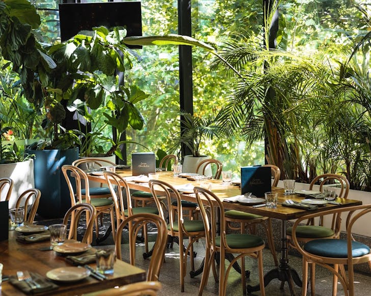 north sydney restaurants green moustache