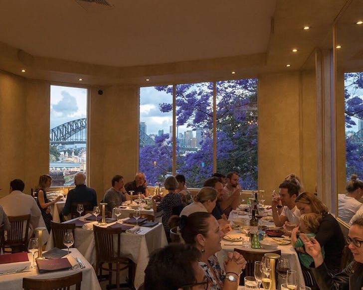 north sydney restaurants lavendra indian