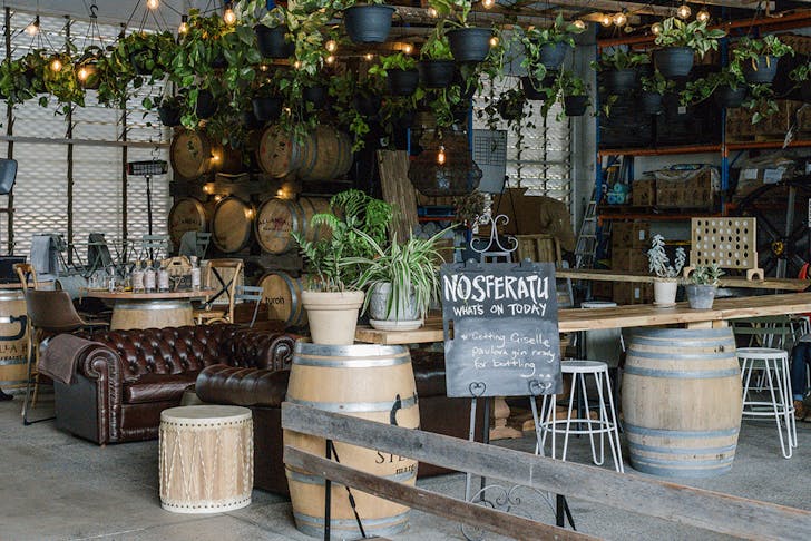 bar area at nosferatu, with plants hanging above tables and chairs
