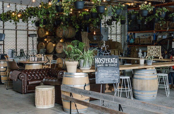 bar area at nosferatu, with plants hanging above tables and chairs