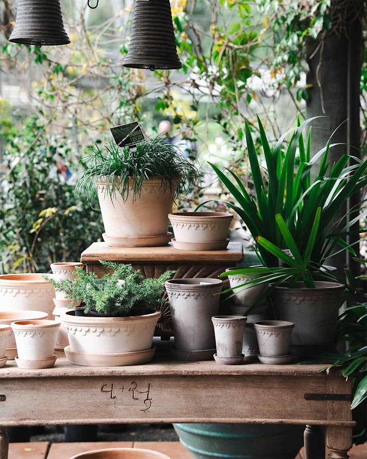 14 Of The Best Nurseries And Plant Shops In Brisbane URBAN LIST BRISBANE