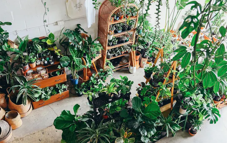 a warehouse filled with plants