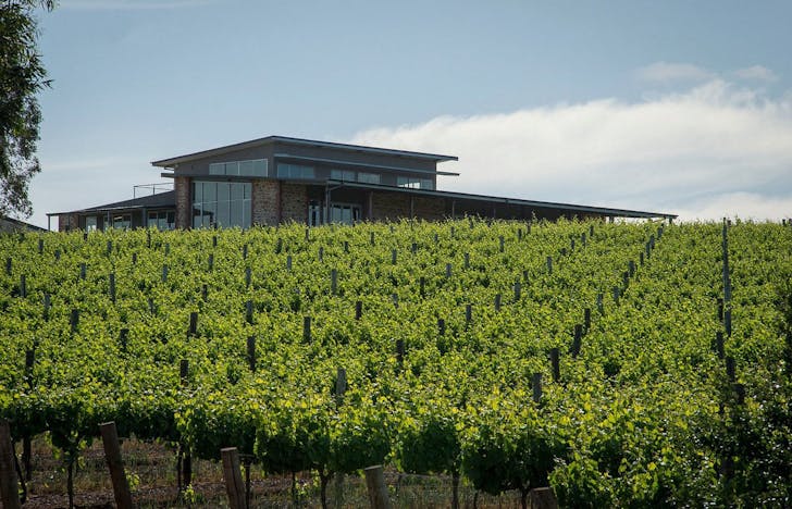 O'Leary Walker Wines: One of the Best wineries in South Australia