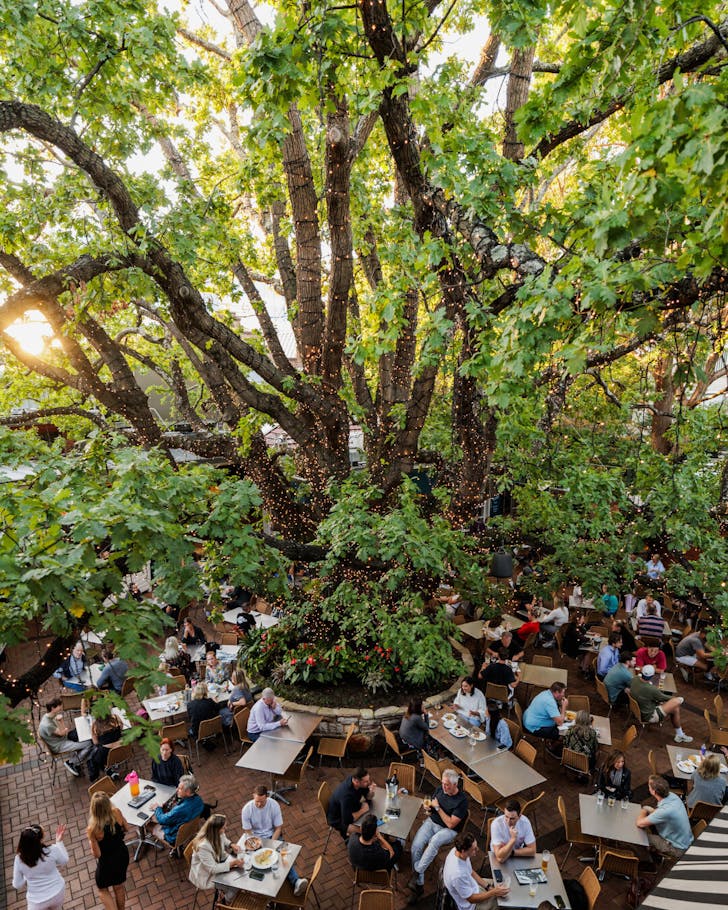 The Oaks beer garden