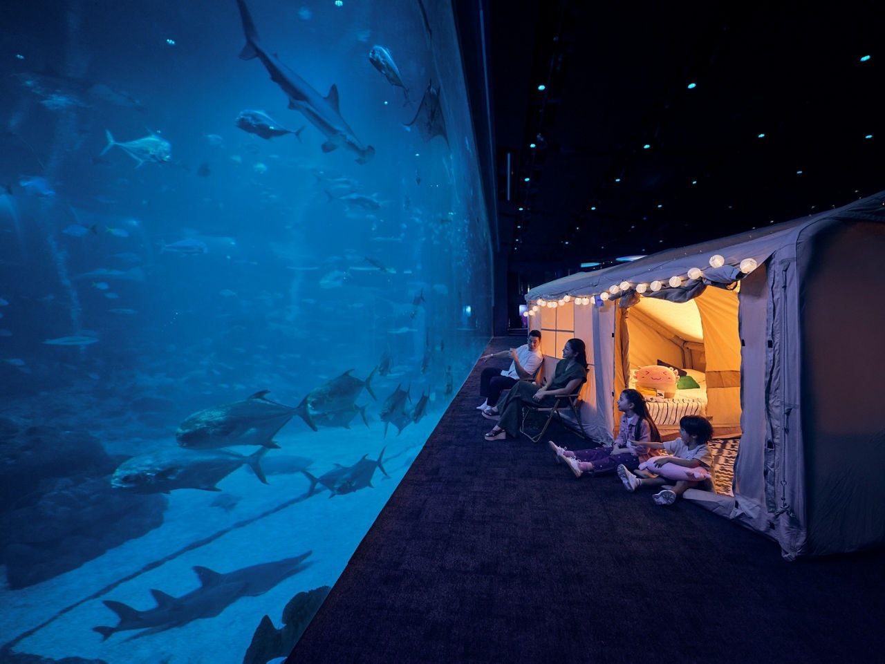 Ocean Dreams at Singapore Oceanarium, Resorts World Sentosa
