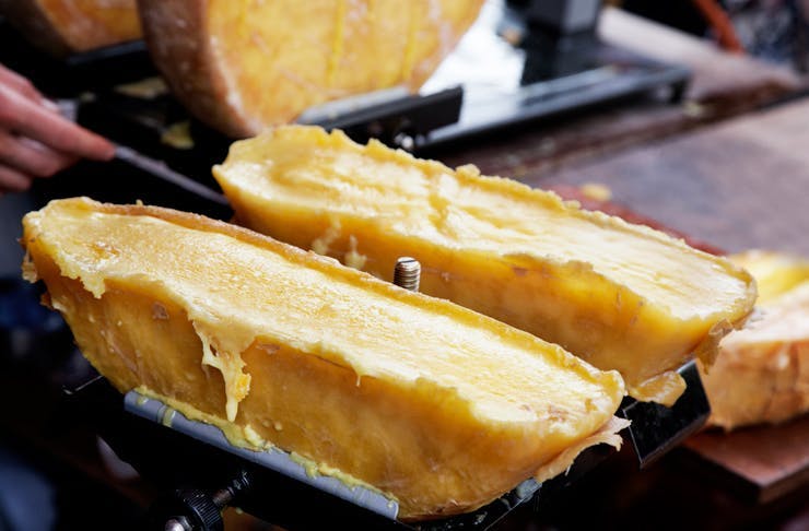 Two wheels of French raclette cheese. 