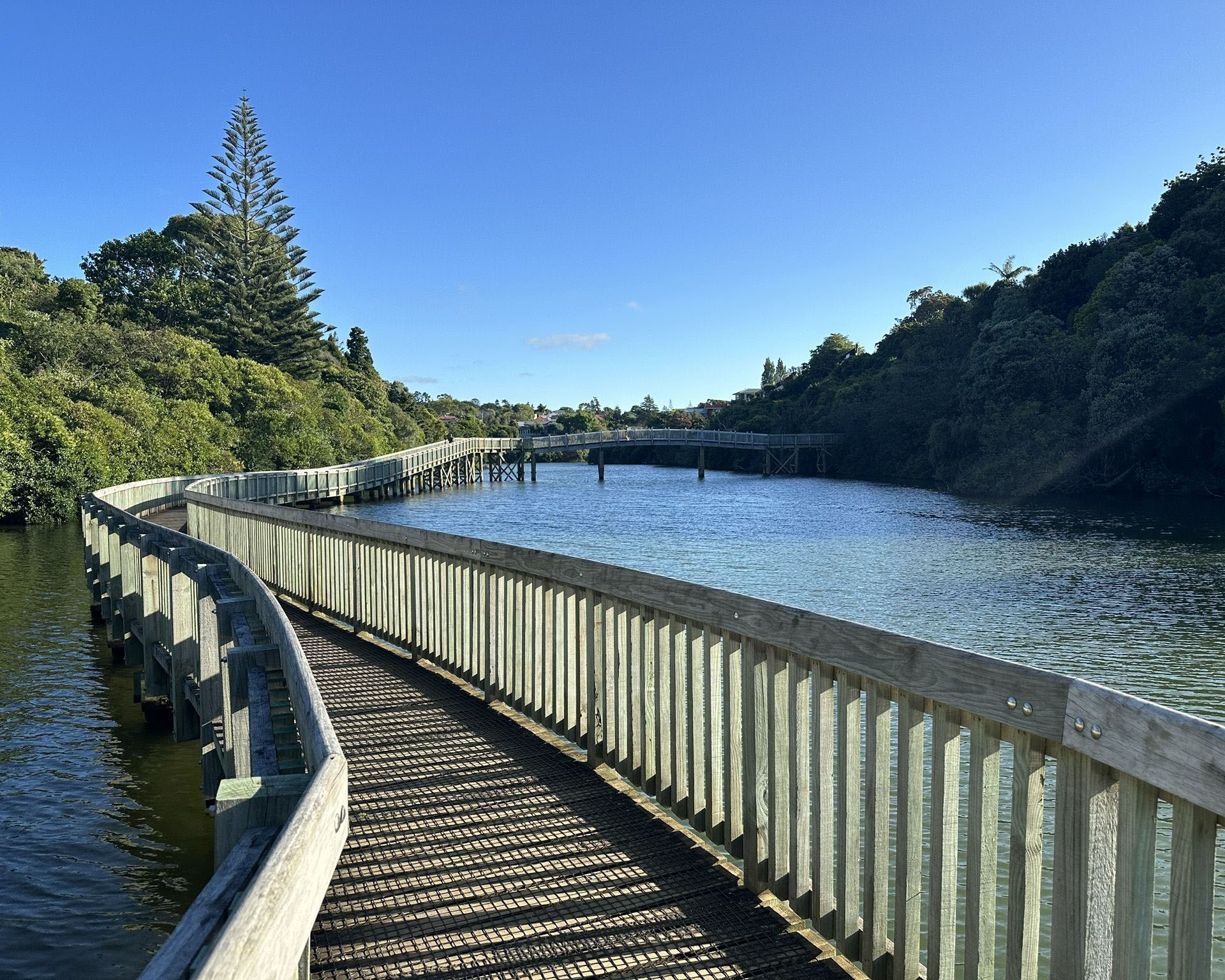 Gorgeous upgraded walkway along Orakei Basin for leisurely walks with your pooch