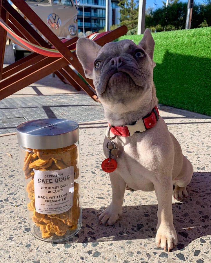 A dog and some treats at Orange Box Kiosk