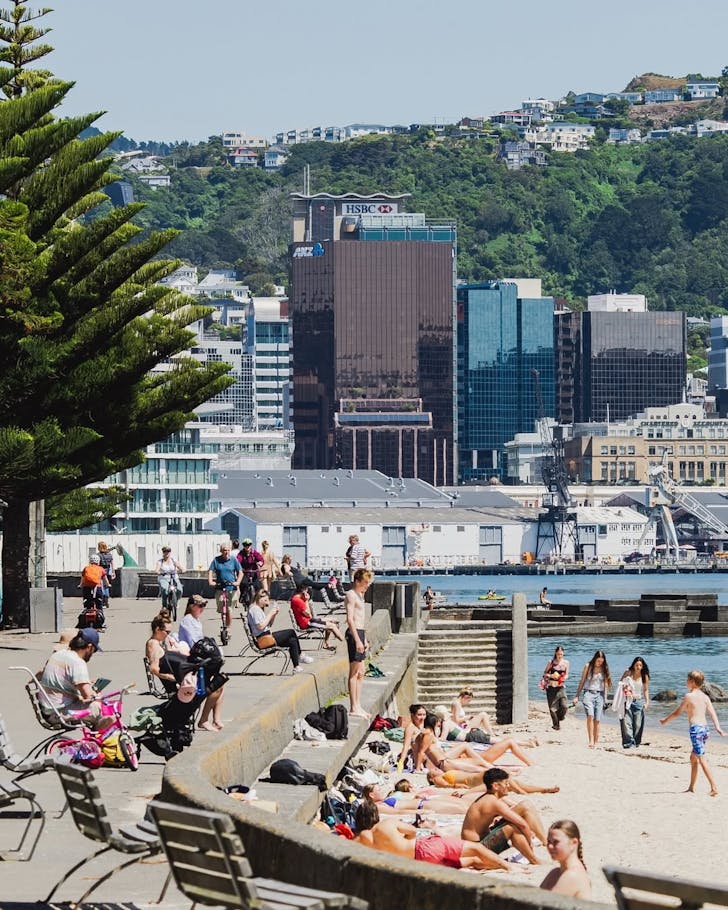 people swimming and relaxing on the shore at oriental bay