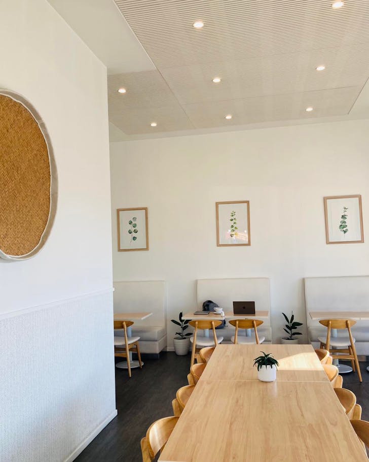 Interior of Origin Cafe in Christchurch, white walls surround a selection of light-wash wood tables and chairs decorated with house plants