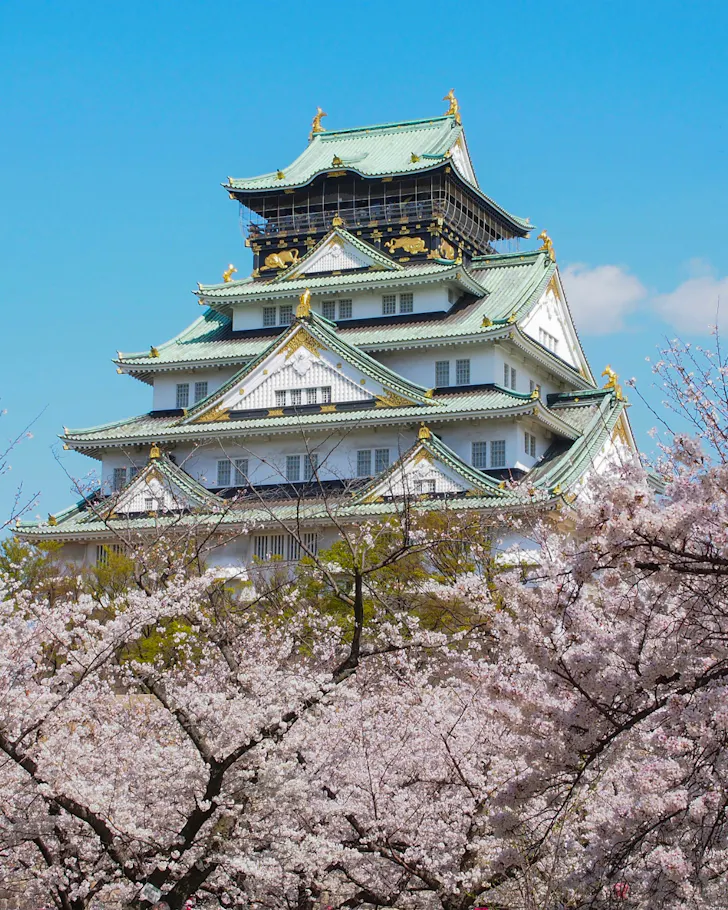 Osaka Castle framed by cherry blossoms in spring.