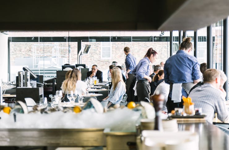 Ostro Britomart Auckland