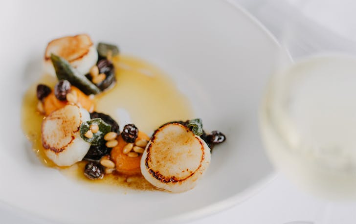a scallop dish