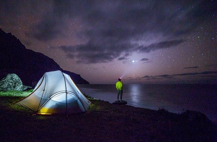 Here Are The Best Things To Do In Auckland At Night
