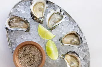 Oyster boom NSW south coast