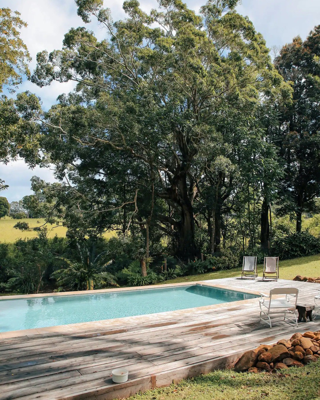 a large pool underneath towering trees