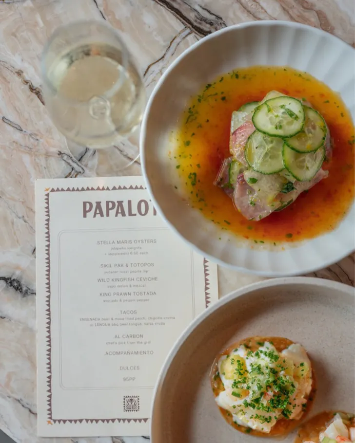 Papalote Newcastle