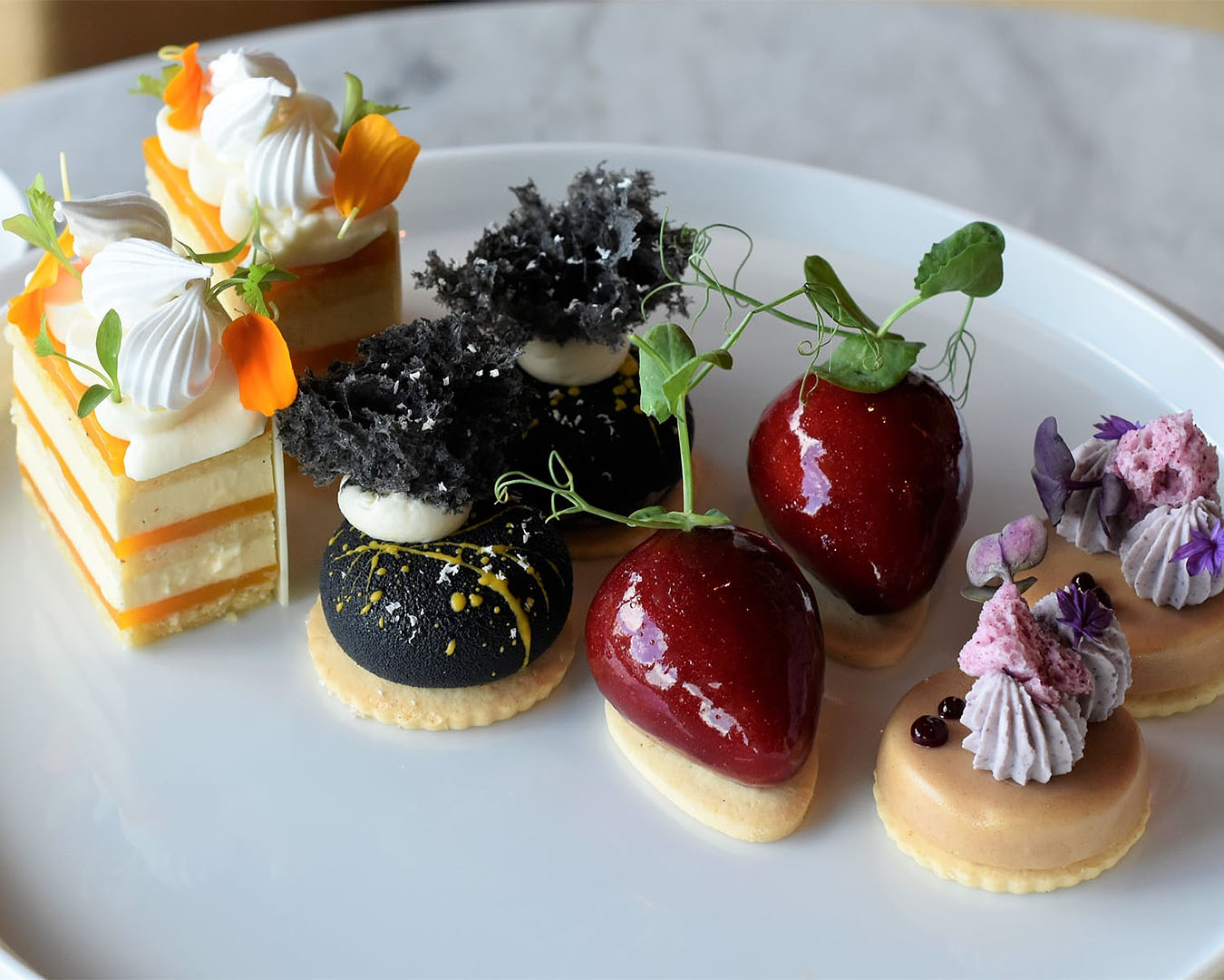 A delicious selection of treats at the Park Hyatt Auckland, one of the best high tea Auckland has to offer