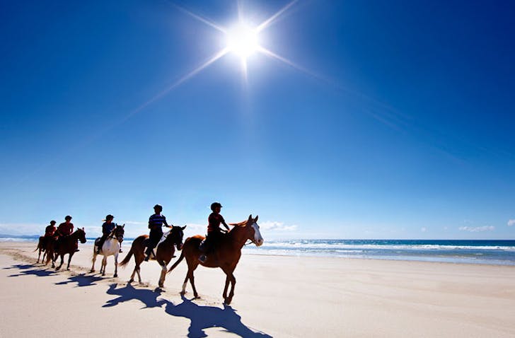 Auckland's Best Beaches