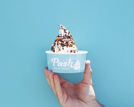 Pash Frozen Yogurt