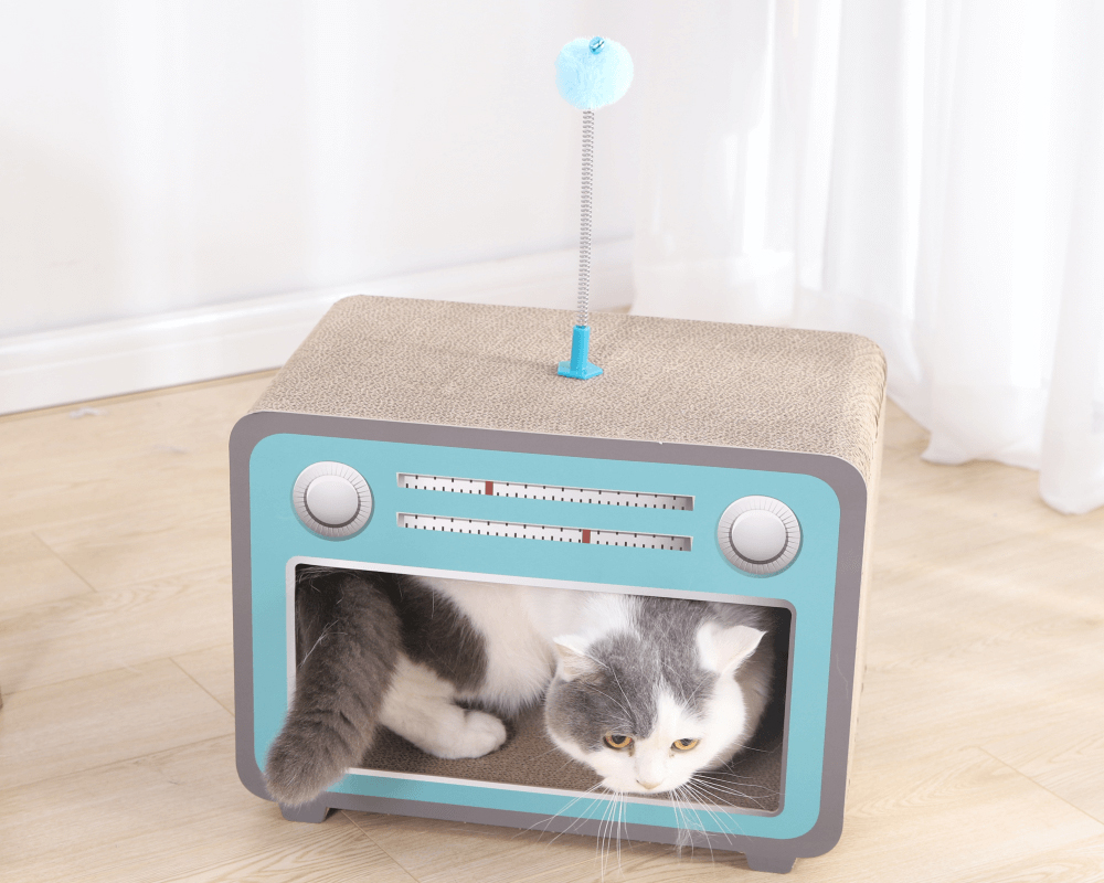 https://imgix.theurbanlist.com/content/article/paws-for-life-cat-scratching-radio___2.jpg