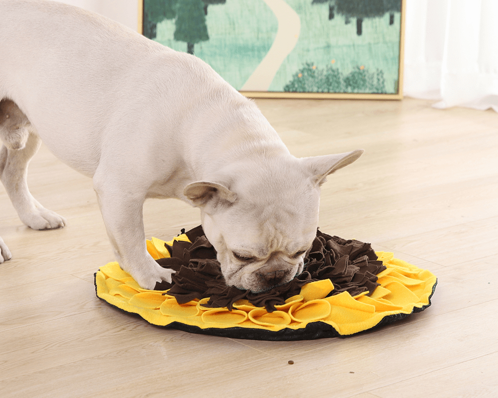 Pet Snuffle Mat for Dogs Interactive Feed Game Sunflower Suction Cups Dog  Treats Feeding Mat with Puzzles Encourages Natural Foraging Skills