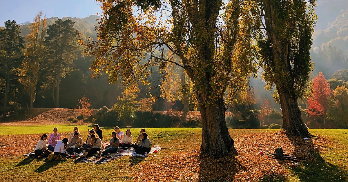 Best Picnic Spots Australia URBAN LIST GLOBAL