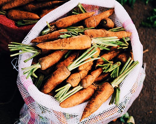 peak-organics-ipswich