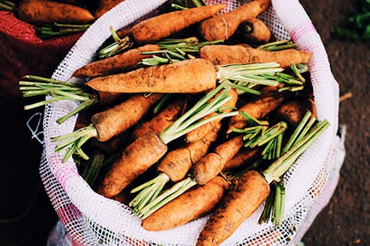 peak-organics-ipswich