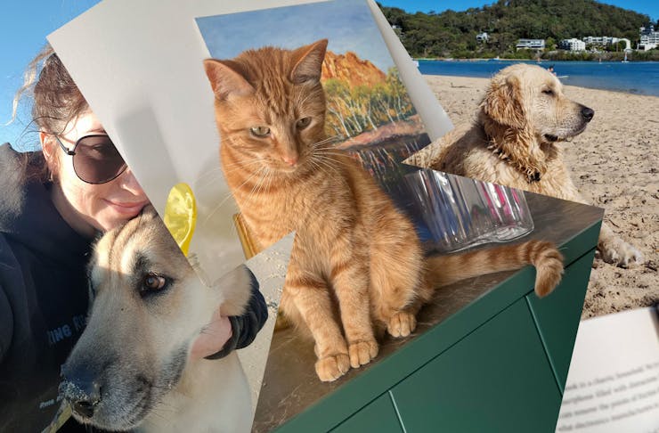 A collage featuring cats and dogs