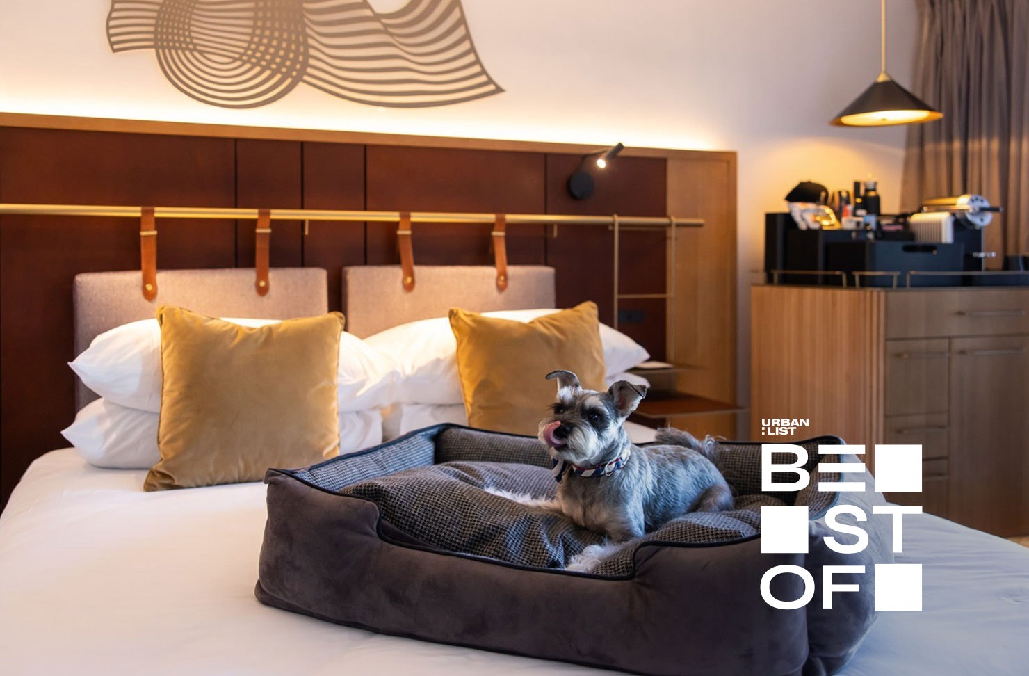 A dog on a hotel bed at Pier One, one of the best pet friendly hotels in Sydney
