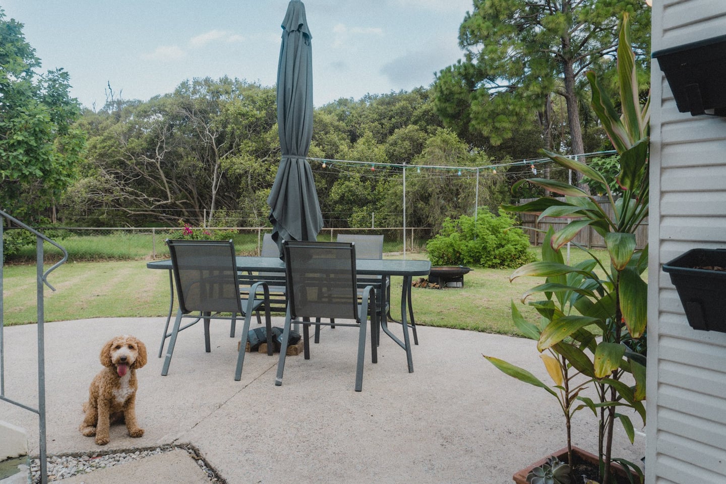 a dog sitting by an outdoor table