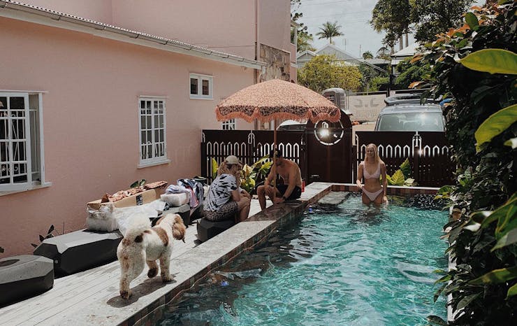 a pool with people splashing in it and a dog walking along the edge