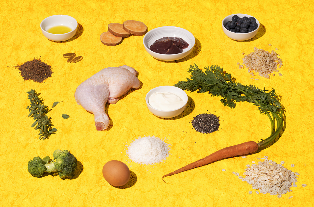 Petzyo Dog Food URBAN LIST GLOBAL