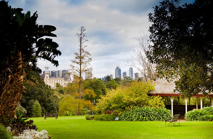 The Royal Botanic Gardens shining bright in the sunshine.