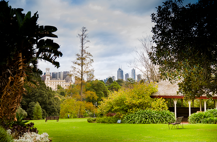 The Royal Botanic Gardens shining bright in the sunshine.