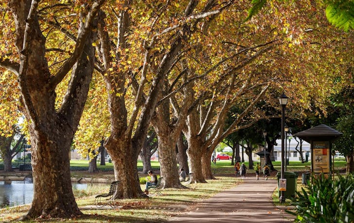 The Best Picnic Spots In Perth | URBAN LIST PERTH