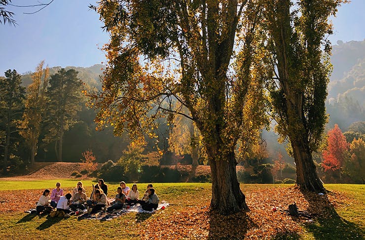 People having a picnic under a tree in the sun.