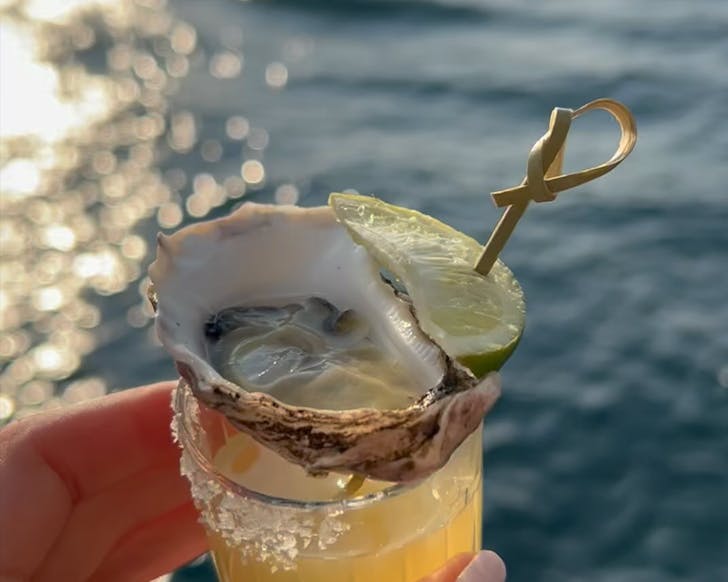 pier bar best oyster happy hours sydney