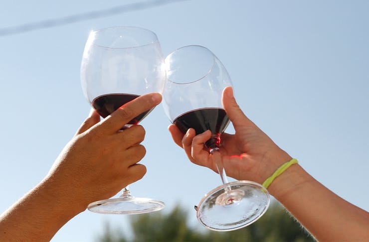 Two hands cheers wine glasses with Pinot. 