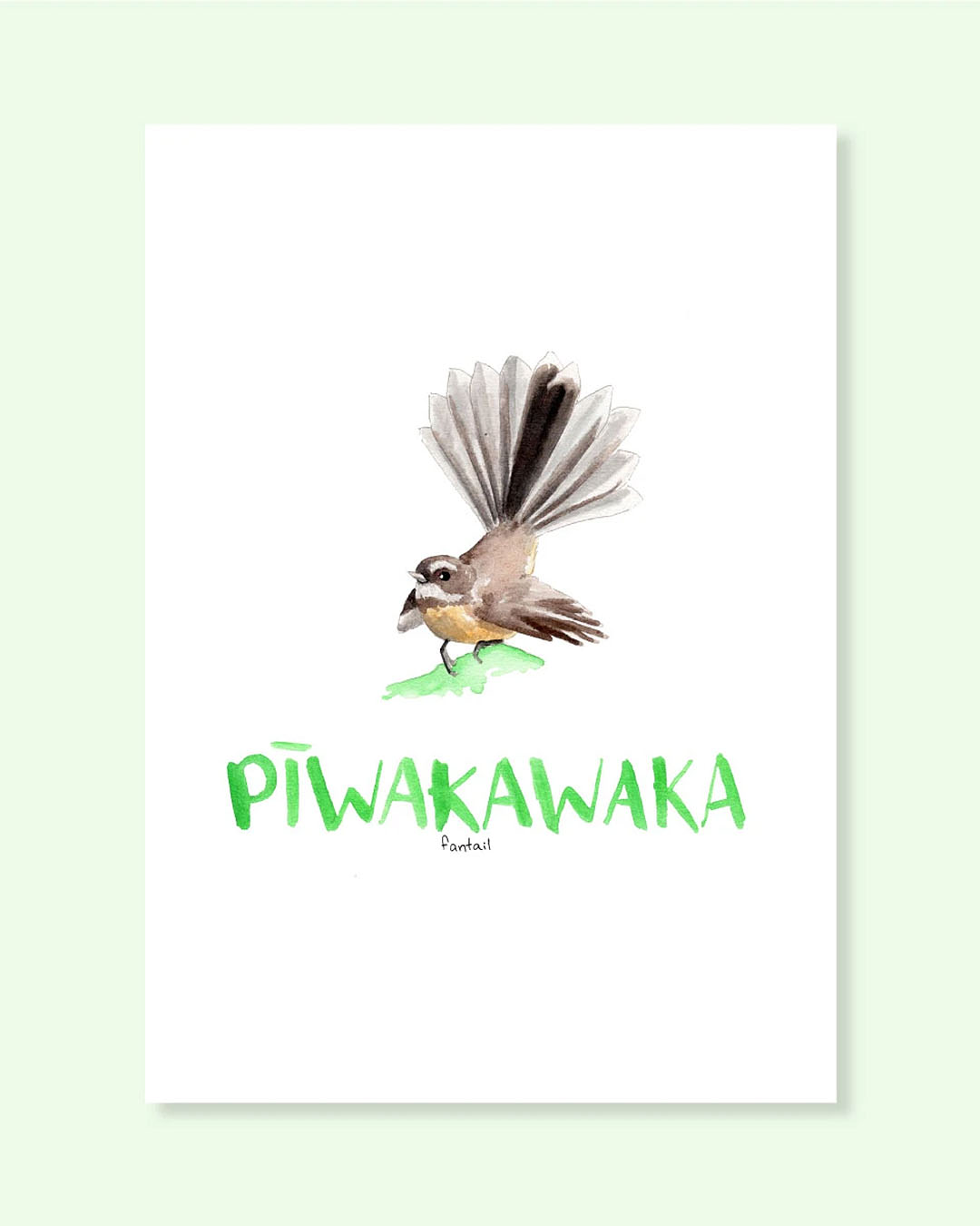 An inquisitive little piwakawaka bird painted with watercolours. 