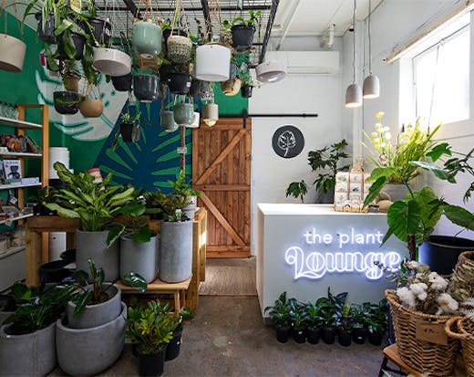 inside of a plant shop, with plants on the floor and hanging from the ceiling