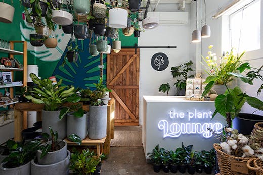 inside of a plant shop, with plants on the floor and hanging from the ceiling