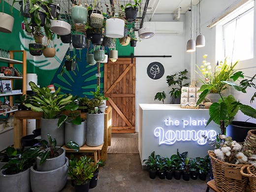 inside of a plant shop, with plants on the floor and hanging from the ceiling