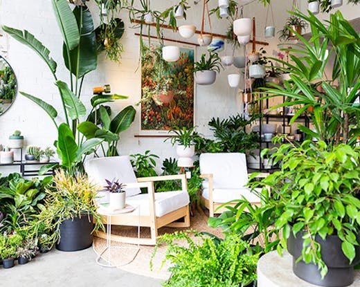 plantsmith-preston