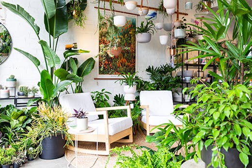 plantsmith-preston