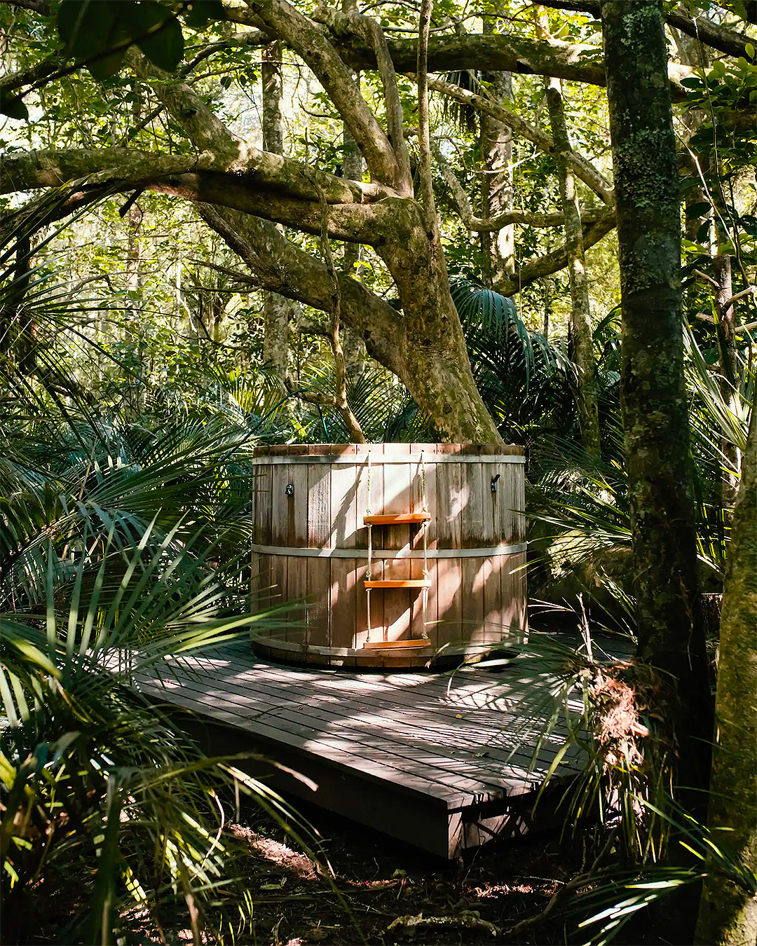 A large cedar hot tub sits on a deck under a giant Puriri tree at a romantic getaway in Matakana. 